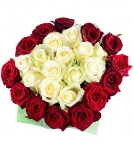 Cam Vazoda 25 Gül (kırmızı - beyaz)