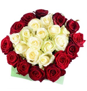Cam Vazoda 25 Gül (kırmızı - beyaz)